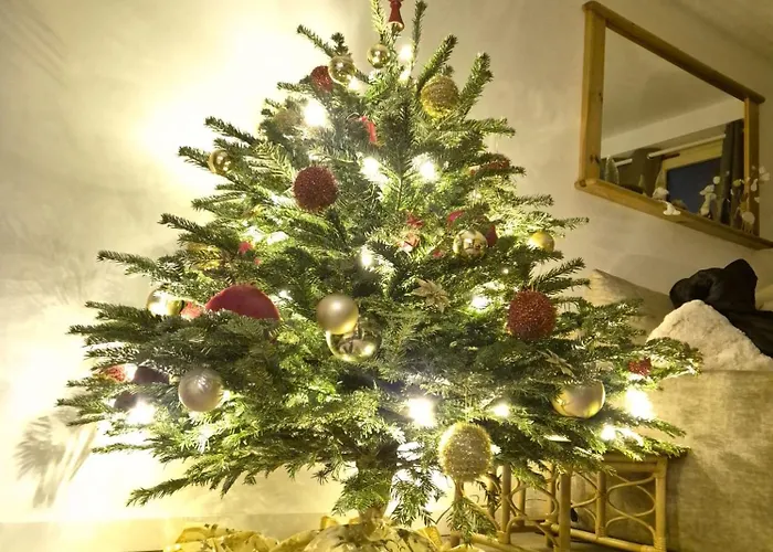 1850 - 4 Personnes - Aux Pieds - Wifi Gratuit شقة كورشوفيل